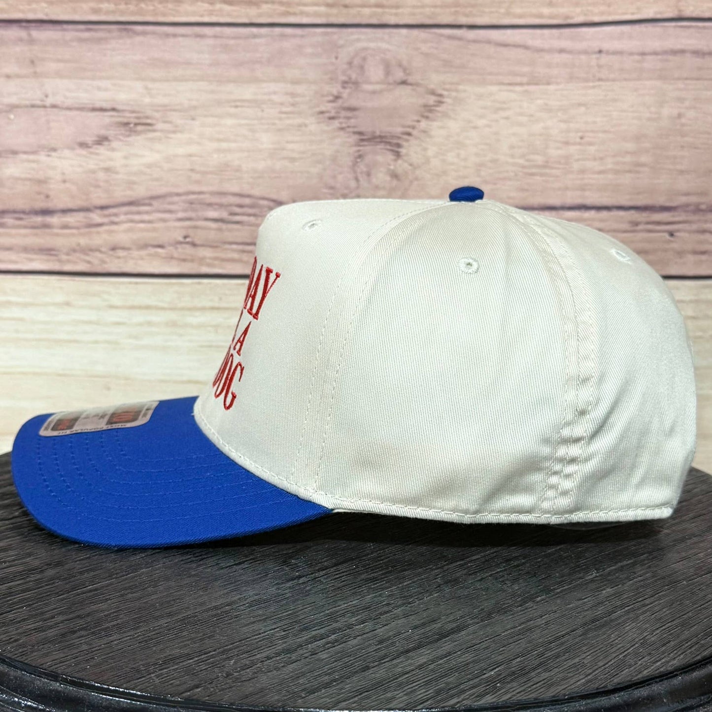 Bad Day to Be a Hot Dog | LC Elizabeth Original | Embroidered Hat: Natural/Royal Blue